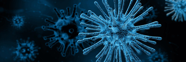 冠状病毒 Covid-19 Virus